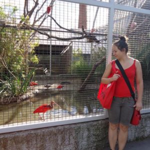Au Pair munka Angliában Juli megközetítésében