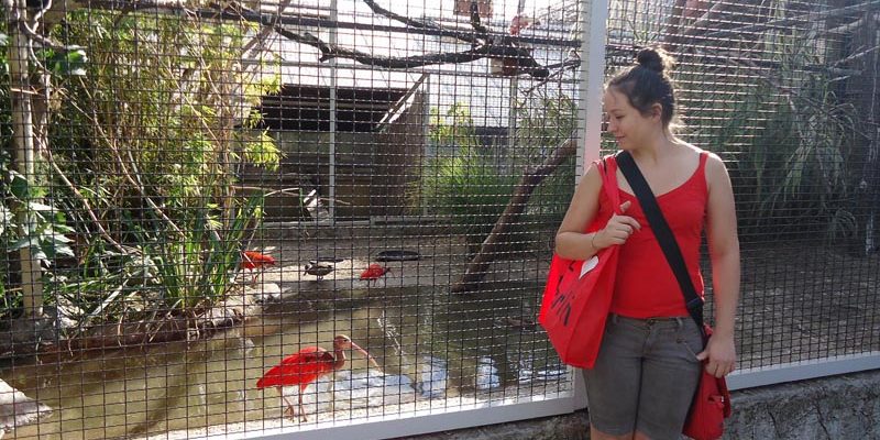 Au Pair munka Angliában Juli megközetítésében